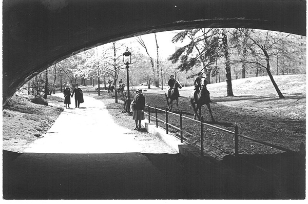 Horseback Riding New York City Central Park 1940